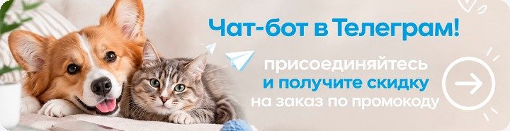 Чат-бот в Телеграм: присоединяйтесь и получите скидку на заказ по промокоду