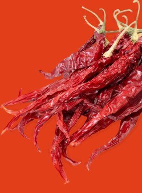 A bundle of dried Erjingtiao chillies
