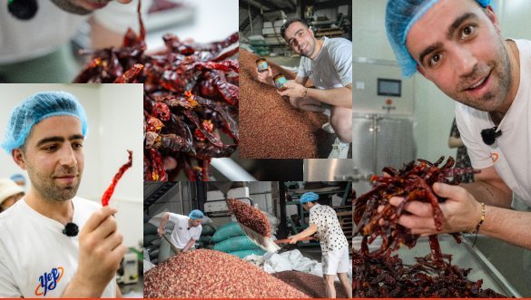 Drying chillies, grinding chilli flakes and sorting Erjingtiao at the Yep Kitchen kitchen