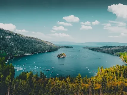 Small forested island in a blue bay ringed by pine woods, seen from above