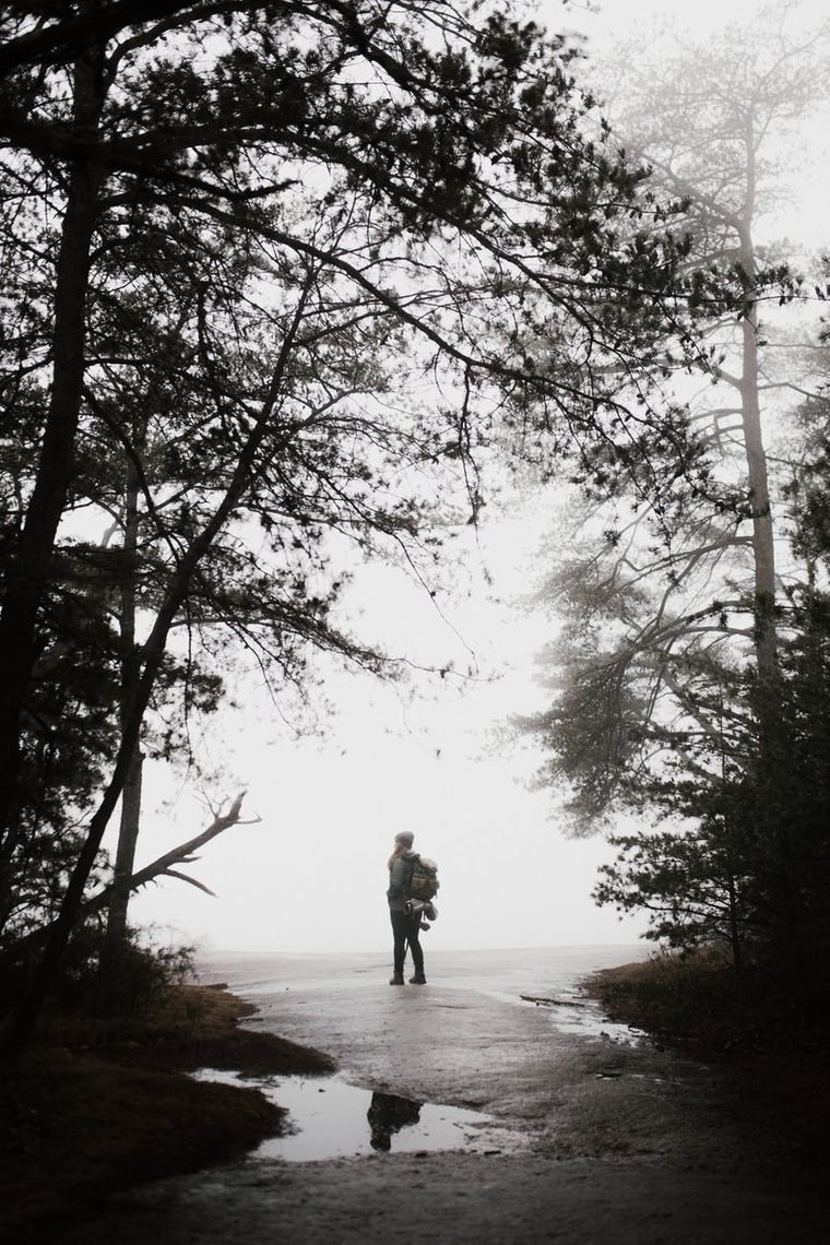 Hiker standing on a foggy lakeshore under tall trees