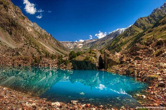 Vivid blue alpine lake ringed by forest